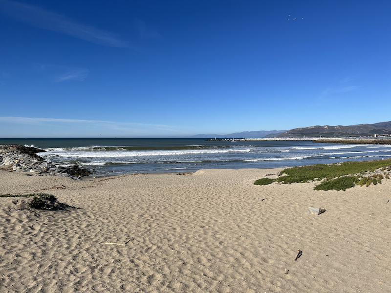 Harbor Cove Beach